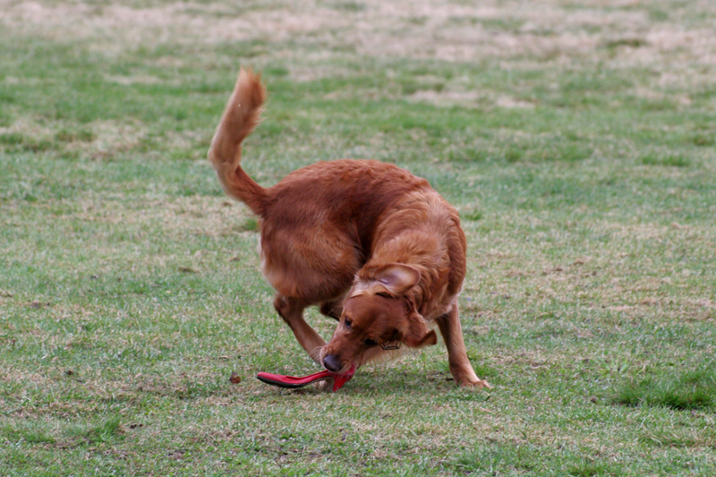 8.5.2010 049c.jpg